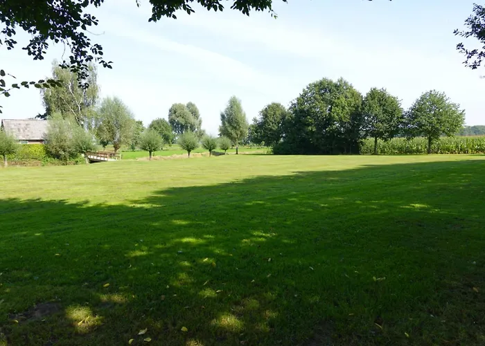 De Knotwilg * Loon op Zand