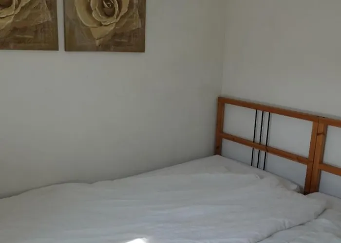 De Knotwilg * Loon op Zand