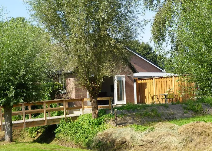 De Knotwilg * Loon op Zand