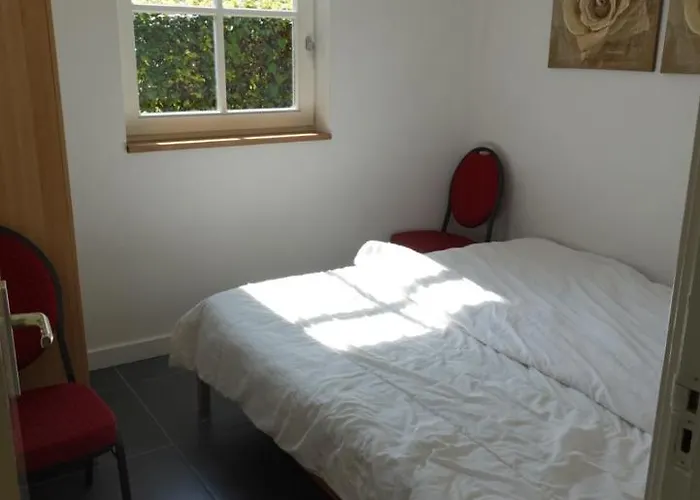 De Knotwilg Dom wakacyjny *