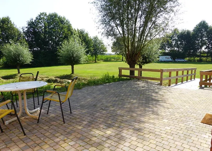 De Knotwilg * Loon op Zand